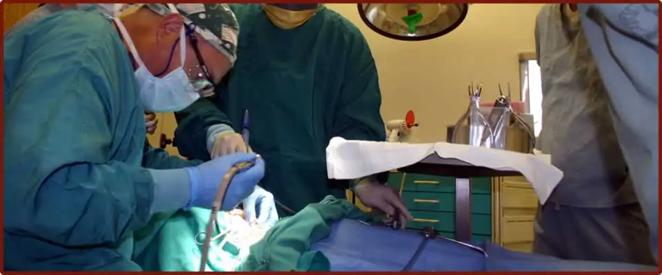 Pediatric Dental Surgery